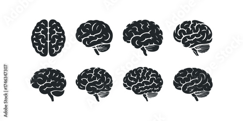 Collection of Human Brain Silhouette Views on White