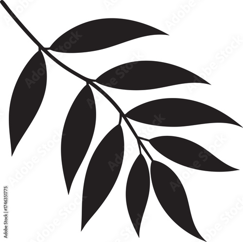 Willow Branch Leaf Silhouette | Black Vector Illustration Design