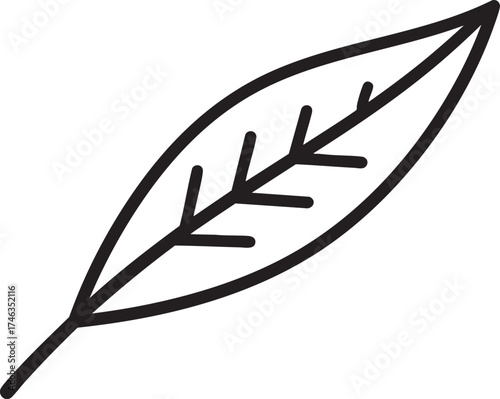 Willow Branch Leaf Silhouette | Black Vector Illustration Design