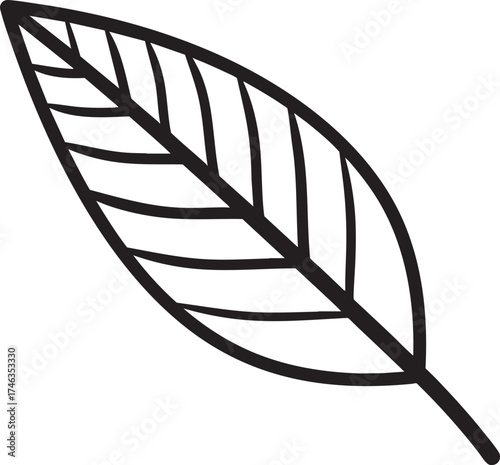 Willow Branch Leaf Silhouette | Black Vector Illustration Design