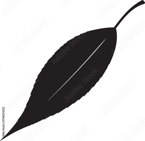 Willow Branch Leaf Silhouette | Black Vector Illustration Design
