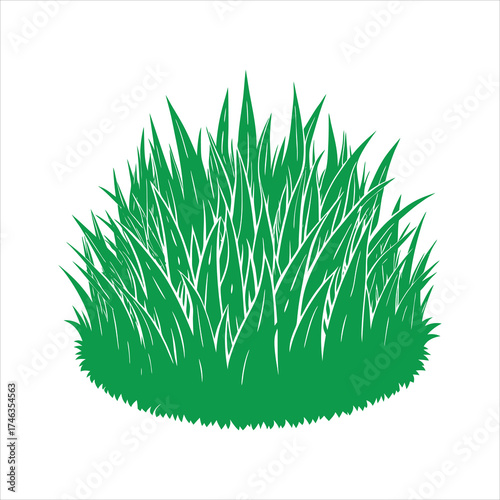 Grass patch shaped like a small mound