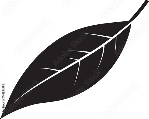 Willow Branch Leaf Silhouette | Black Vector Illustration Design