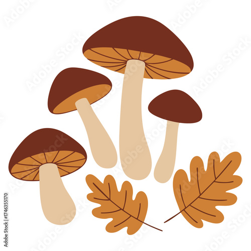 Mushroom medley with autumn leaves