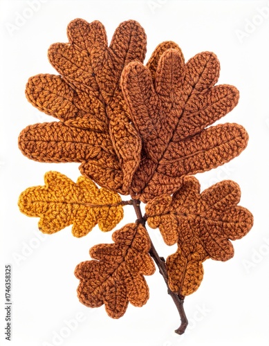 Close Up of Golden Brown Oak Leaves on Stem Against White Background