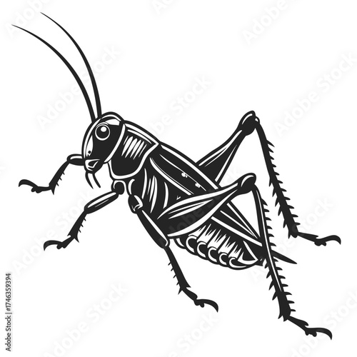 Black and white illustration of a grasshopper
