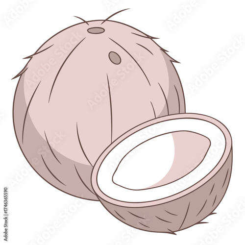 Coconut fruit, whole and sliced, an illustration of healthy organic food