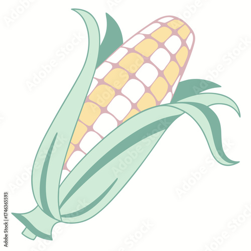 Fresh, ripe, and sweet corn on the cob, a symbol of summer abundance