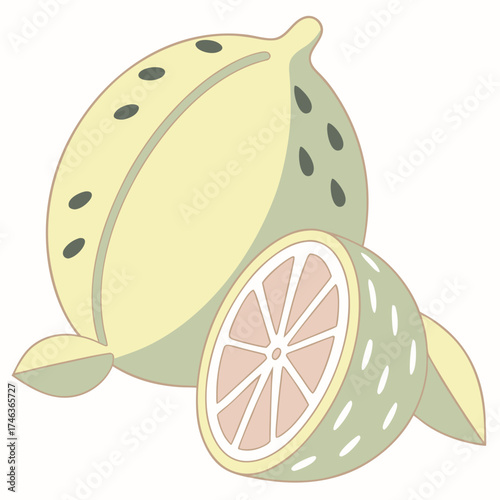 Illustration of stylized lemon, sliced and whole