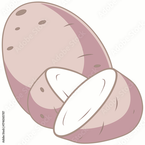 Illustration of a fresh potato and a slice