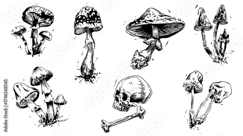 A collection of 6 small tattoo flash designs of mushrooms with bones and skeleton structures isolated on a white background