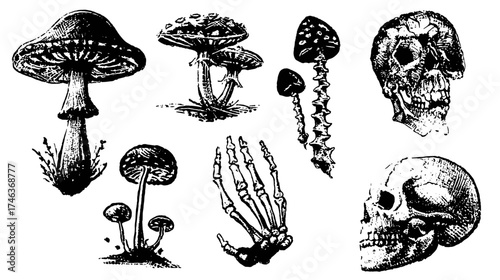 A collection of 6 small tattoo flash designs of mushrooms with bones and skeleton structures isolated on a white background