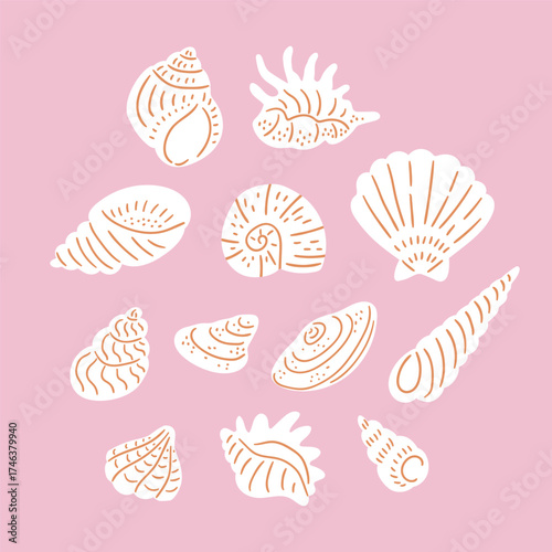 Seashell collection. Stylish vector hand-drawn shells isolated on the pink background. Beach print design.