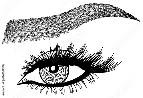 Illustration with woman's eye, eyelashes and eyebrow. Makeup Look. Tattoo design. Logo for brow bar or lash salon.