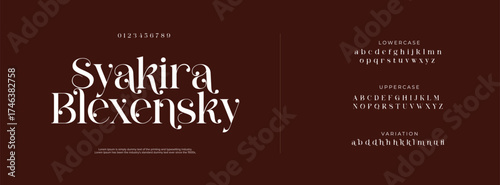 Elegant Font Uppercase Lowercase and Number. Classic Lettering Minimal Fashion Designs. Typography modern Serif fonts regular decorative vintage concept.