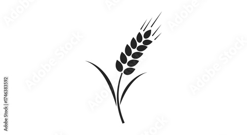 Simple line art wheat stalk icon symbolizing agriculture harvest and food production representing growth and natural resources