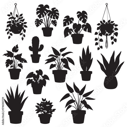 House plants Silhouettes white background.