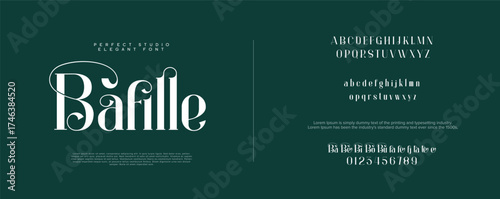 Elegant font alphabet uppercase lowercase and number. Classic lettering minimal fashion designs. Typography modern serif fonts regular decorative vintage concept. Vector illustration