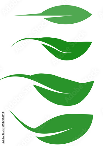 green leaf on white background
