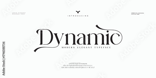 Elegant alphabet letters font and number. Classic Lettering Minimal Fashion Designs. Typography modern serif fonts regular decorative vintage concept. vector illustration

