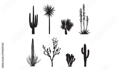 Cactus Silhouette Bundle | Desert Plant Vector Set | Succulent Clipart Collection