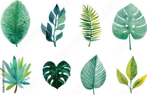 collection of green leaves