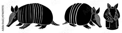 Playful Armadillos Posing: Cartoon Illustrations of Mammals in Black and White Style for Children's Education & Animal Conservation Presentations, Wildlife Awareness, Graphic Designs & Arts, Zoology,