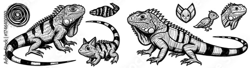 Detailed Iguana Illustrations Set: Reptiles in Line Art Style for Wildlife Education, Tattoo Design, and Zoological Studies - Black and White Vector Graphics for Print, Posters, or Scientific Presenta