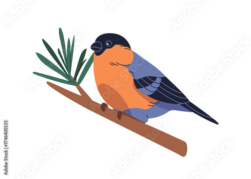Bullfinch, winter seasonal bird perched on pine branch. Small feathered fauna sitting, clinging on fir tree twig, sprig. Forest wildlife. Flat vector illustration isolated on white background