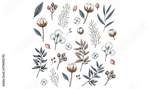 Cotton Flower Clipart | Watercolor Botanical Illustration Set | Rustic Floral Vector Design