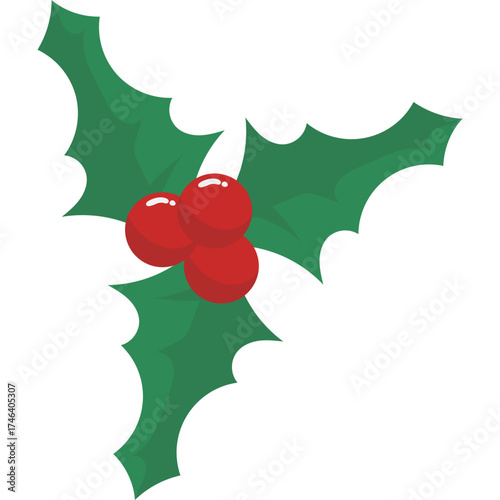 Christmas Holy Leaf
