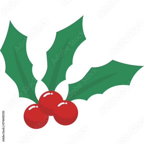 Christmas Holy Leaf