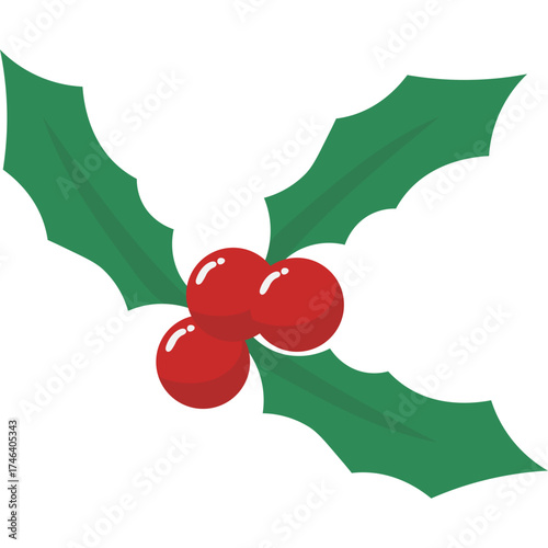 Christmas Holy Leaf