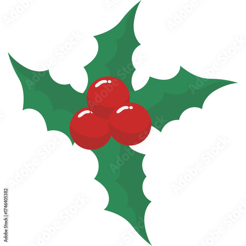Christmas Holy Leaf