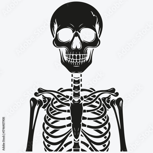 black skeleton anatomy, front view, medical clip art preview