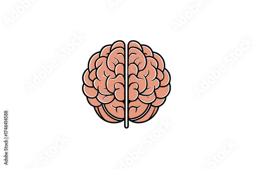 human brain vector illustration