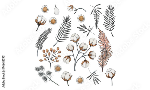 Tropical Leaf Clipart | Monstera and Palm Vector Set | Exotic Botanical Illustration Collection