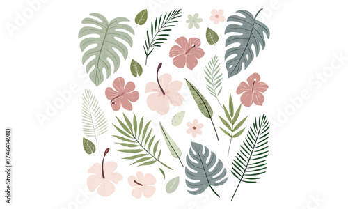 Tropical Leaf Clipart | Monstera and Palm Vector Set | Exotic Botanical Illustration Collection