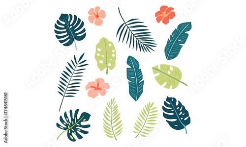 Tropical Leaf Clipart | Monstera and Palm Vector Set | Exotic Botanical Illustration Collection