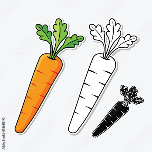 Cute carrot illustrations in color and black and white, suitable for coloring practice.