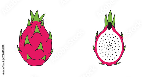 Vibrant dragon fruit illustration whole and cross section view on white