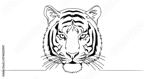 Single line drawing of a tiger face looking forward, minimalist design with subtle stripes and intense gaze