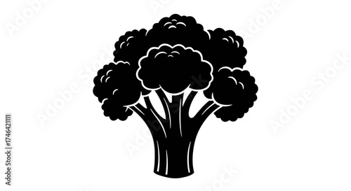 Broccoli silhouette graphic vector of a fresh vegetable for design