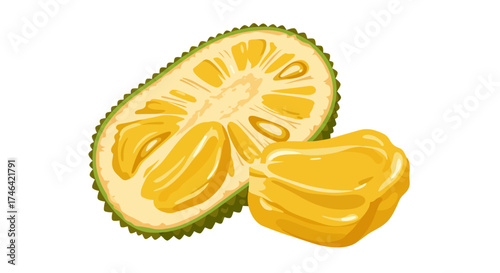 Cut jackfruit fruit illustration isolated on white background fresh healthy food