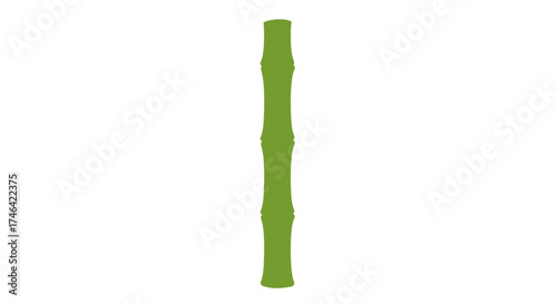 Green bamboo stalk isolated on white background graphic illustration