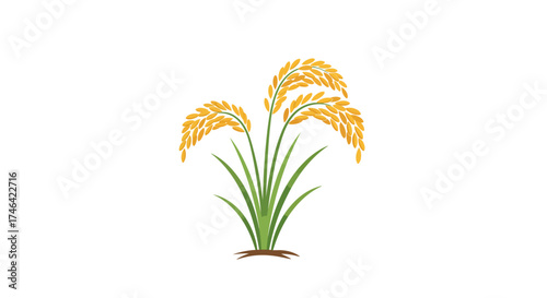 Illustration of rice plants with golden grain and green leaves on white