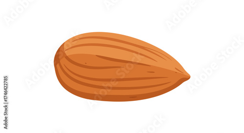 Isolated almond nut illustration on white background for healthy eating