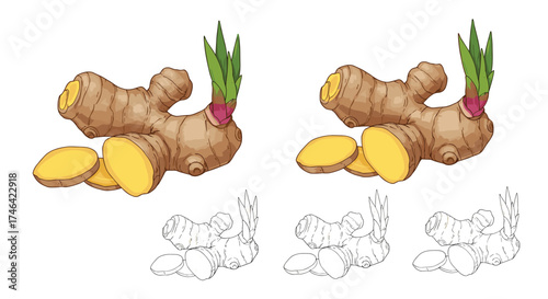 Fresh ginger root with sliced pieces and green sprouts.