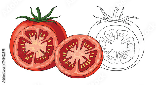 Color this ripe red tomato and its cross section drawing.