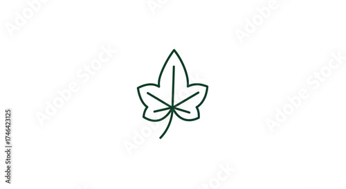 Isolated leaf icon on white vector outline depicting nature and ecology